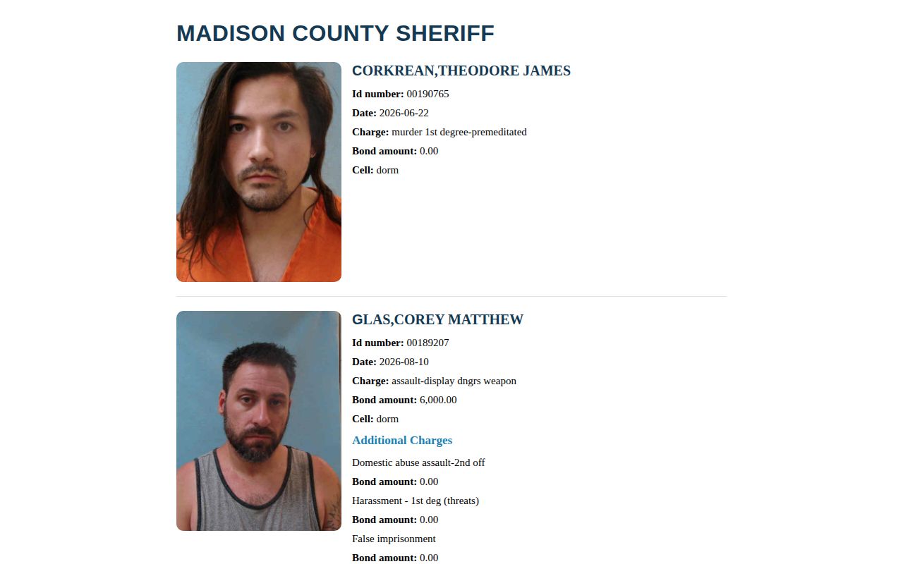Madison County booking widget showing the public current-custody field layout